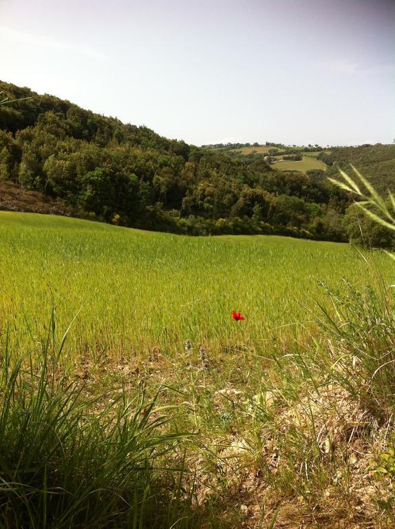 La Casa In Val D'Orcia Bed and Breakfast Castelnuovo dellʼAbate Esterno foto